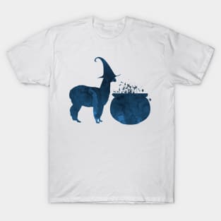 Witch llama T-Shirt